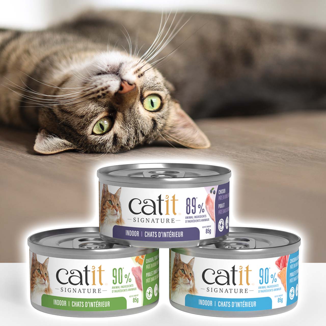 A tabby cat lying on its back above three cans of Catit Signature indoor wet cat food