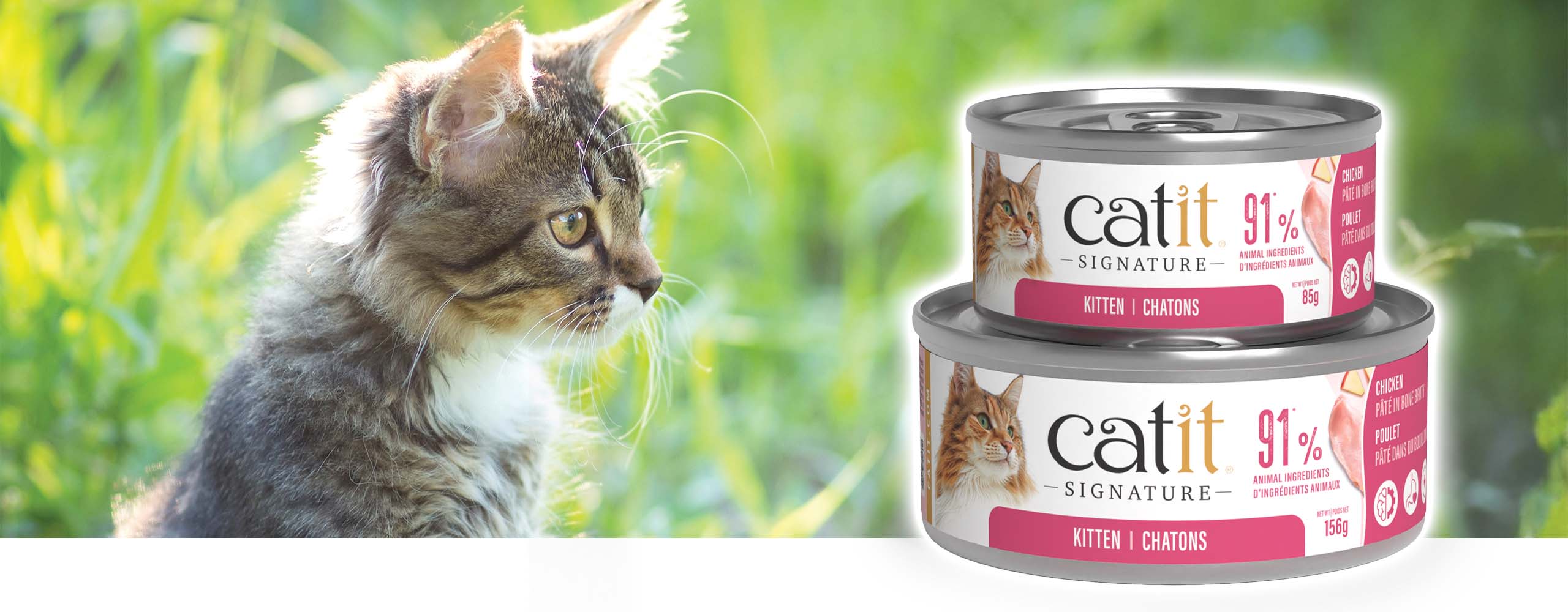 A fluffy kitten next to two cans of Catit Signature kitten pâté in bone broth