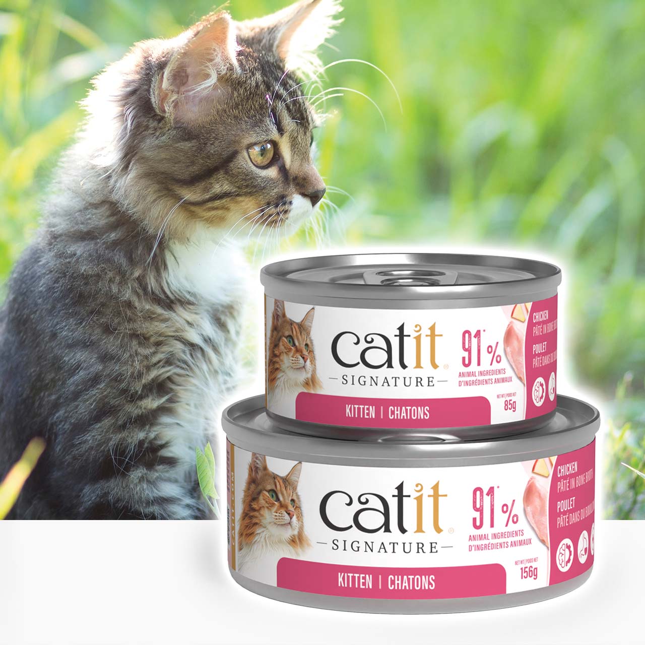 A fluffy kitten sits in grass next to two cans of Catit Signature kitten food, one 85g and one 156g