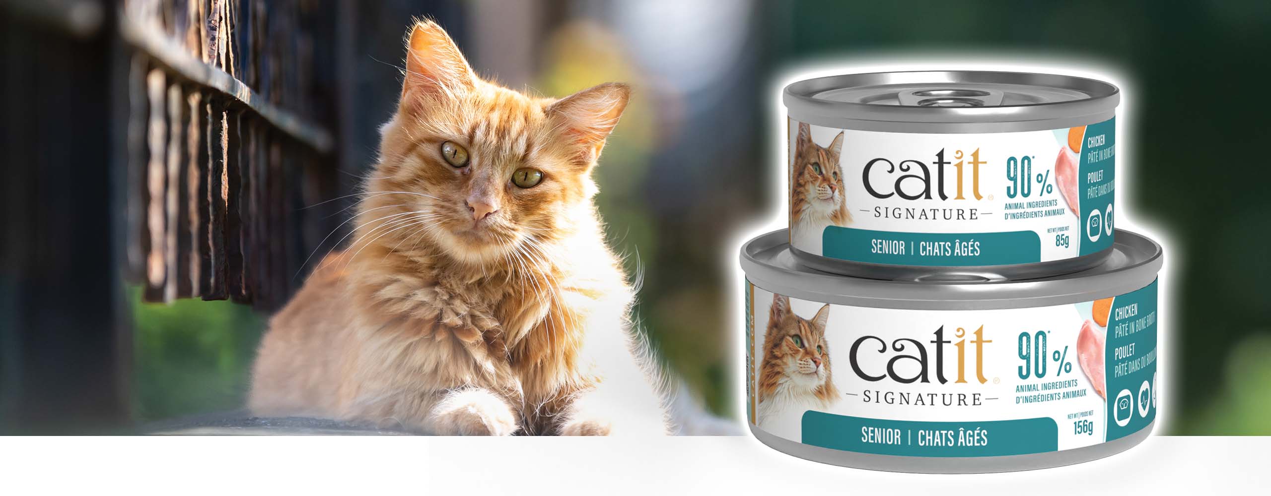A fluffy orange cat resting next to two cans of Catit Signature Senior chicken pâté cat food
