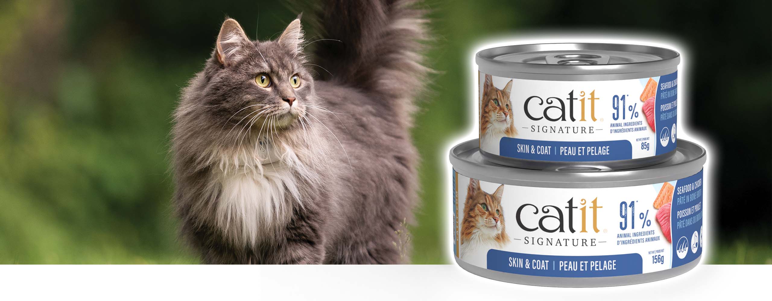 A fluffy grey cat stands next to two cans of Catit Signature Skin & Coat wet cat food in 85g and 156g sizes