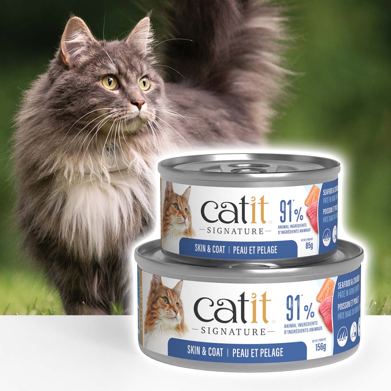 Two cans of Catit Signature Skin & Coat wet cat food stacked in front of a fluffy gray cat