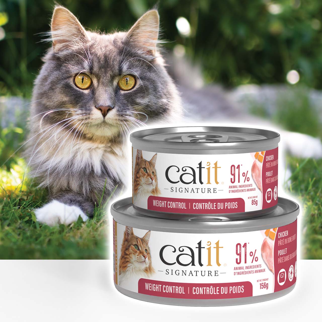 A fluffy cat sitting in grass next to two cans of Catit Signature Weight Control chicken cat food