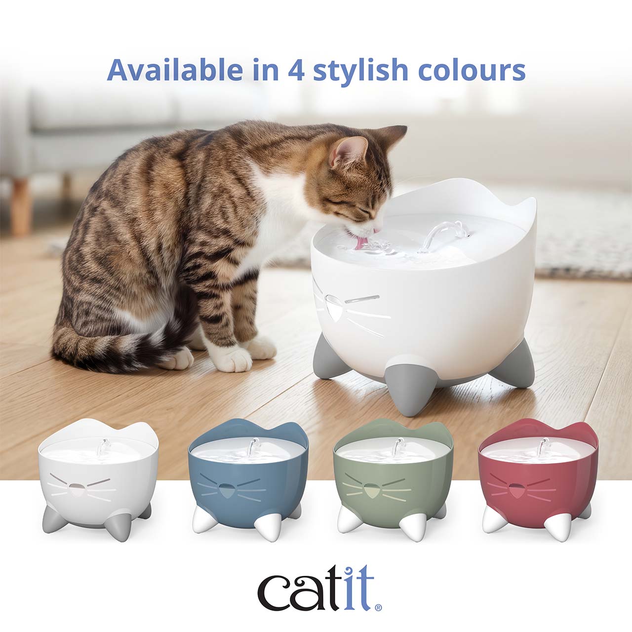 A tabby cat drinking from a white Catit PIXI fountain, with four color options shown below the brand logo