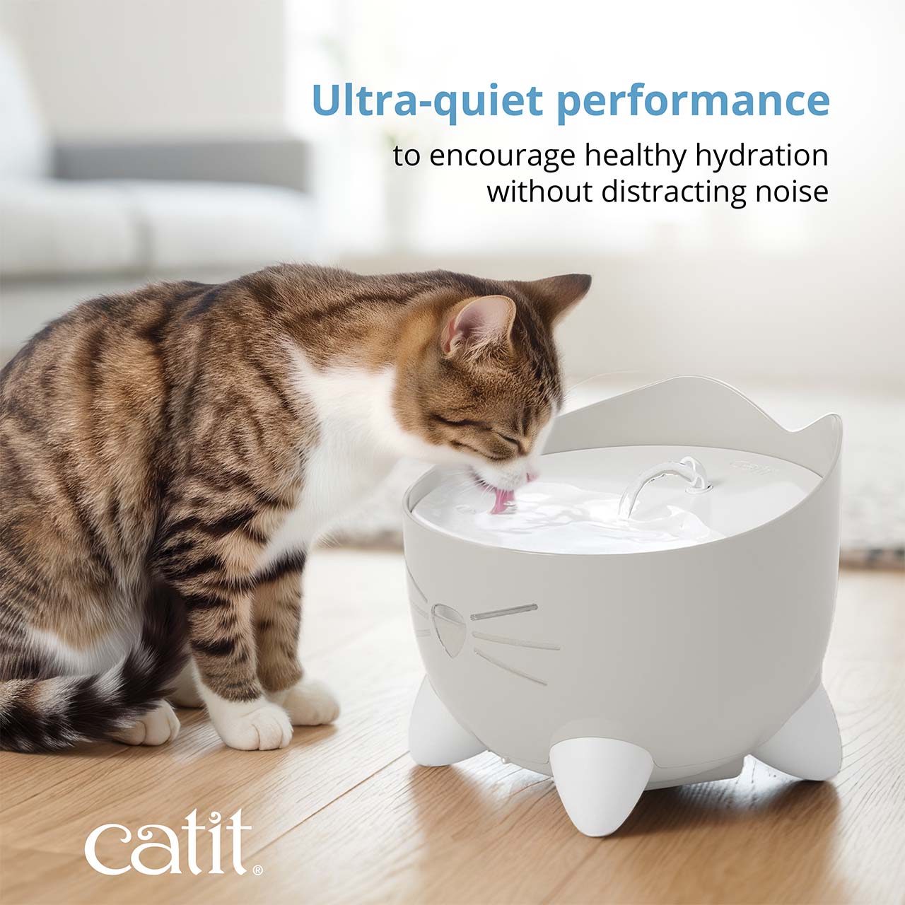 A tabby cat drinks from a Catit PIXI fountain, highlighting its ultra-quiet performance for healthy hydration