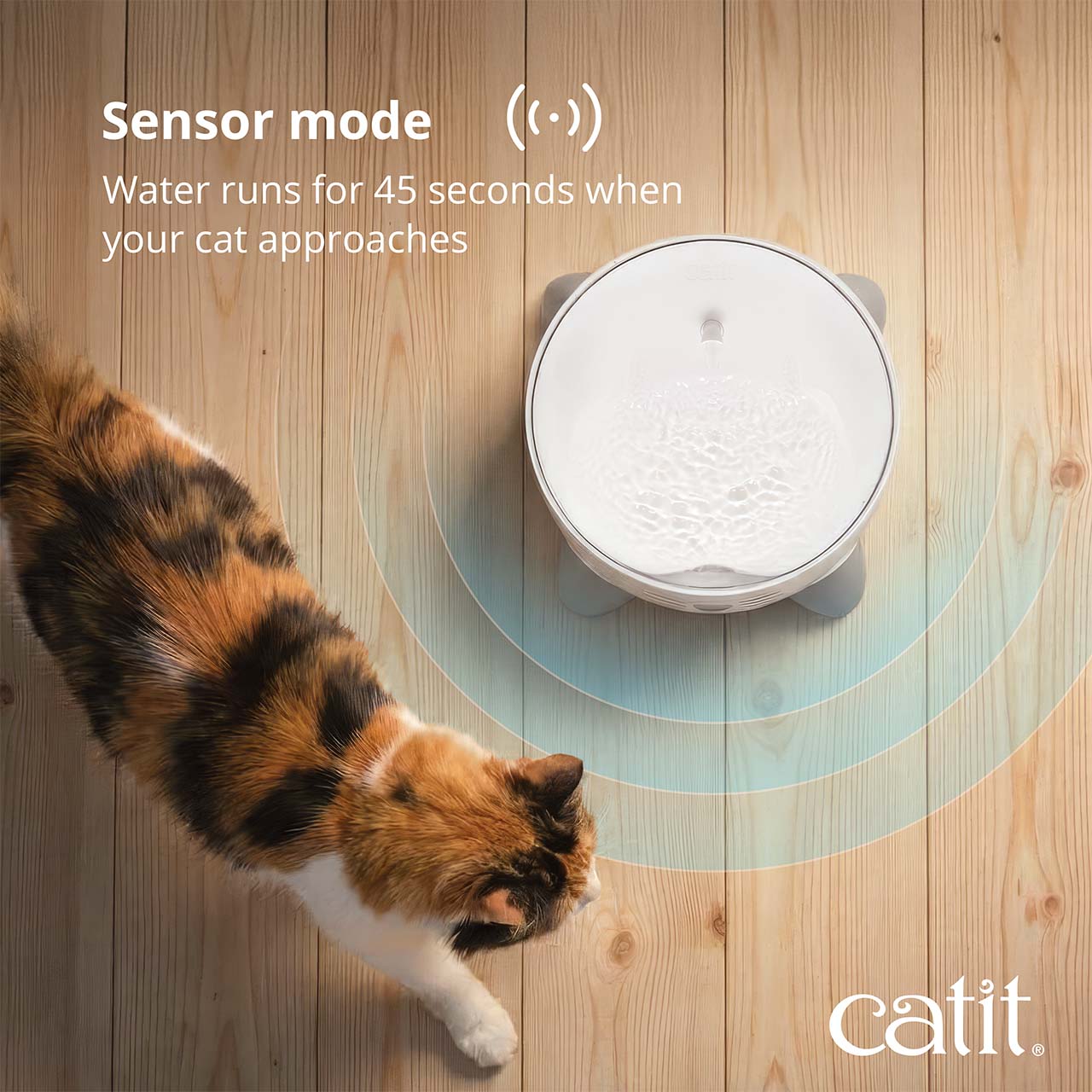 Catit PIXI fountain in sensor mode, which activates water flow for 45 seconds when a cat approaches