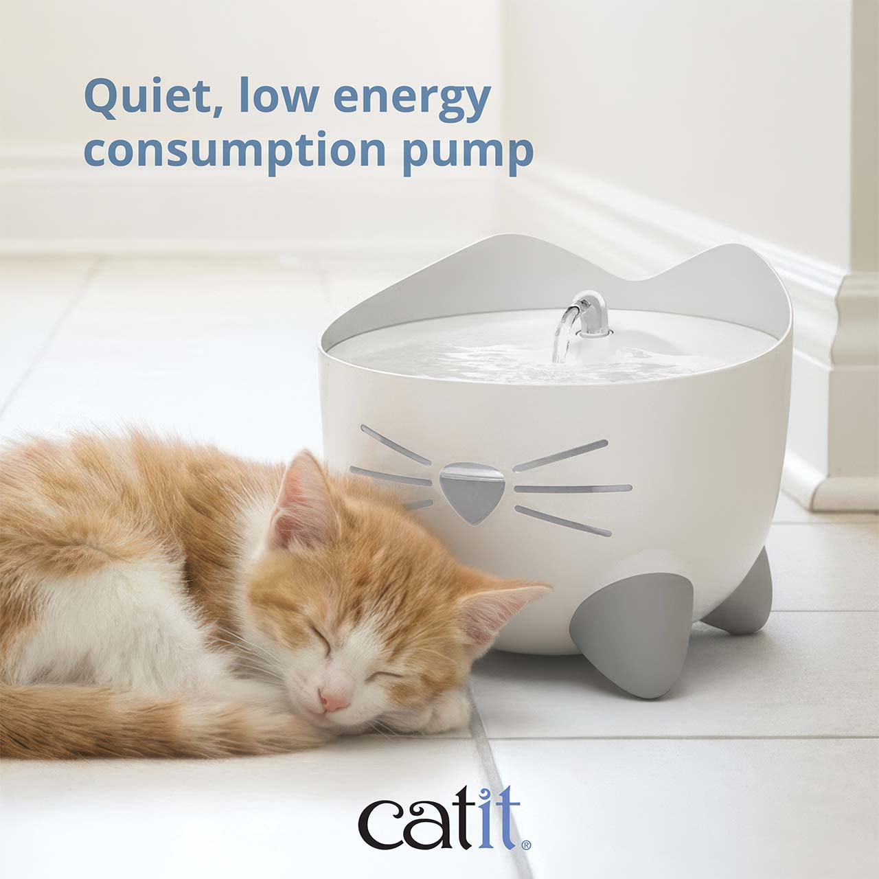 A ginger and white kitten sleeps beside a white Catit PIXI cat water fountain with a quiet, low-energy pump