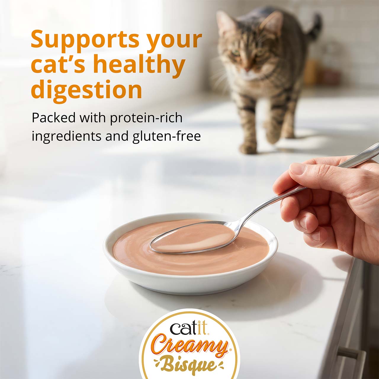 Catit Creamy Bisque cat treat promotes healthy digestion with protein-rich, gluten-free ingredients