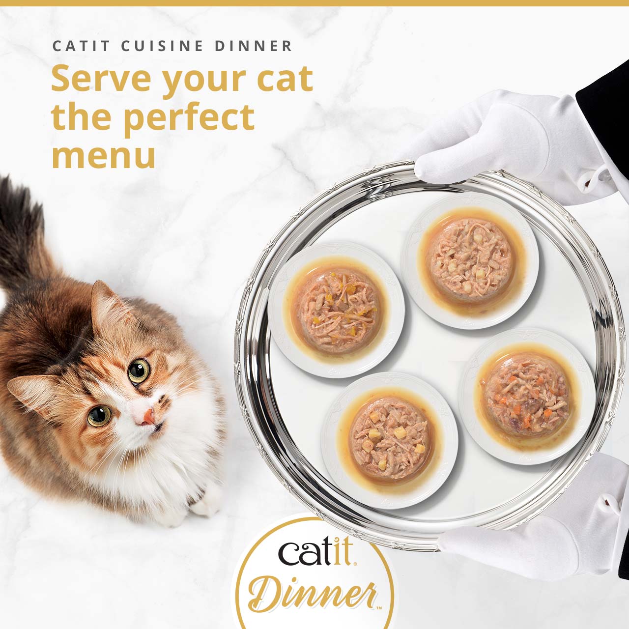 A fluffy cat looks up at a silver tray held by gloved hands, which features four small plates of Catit Dinner wet food