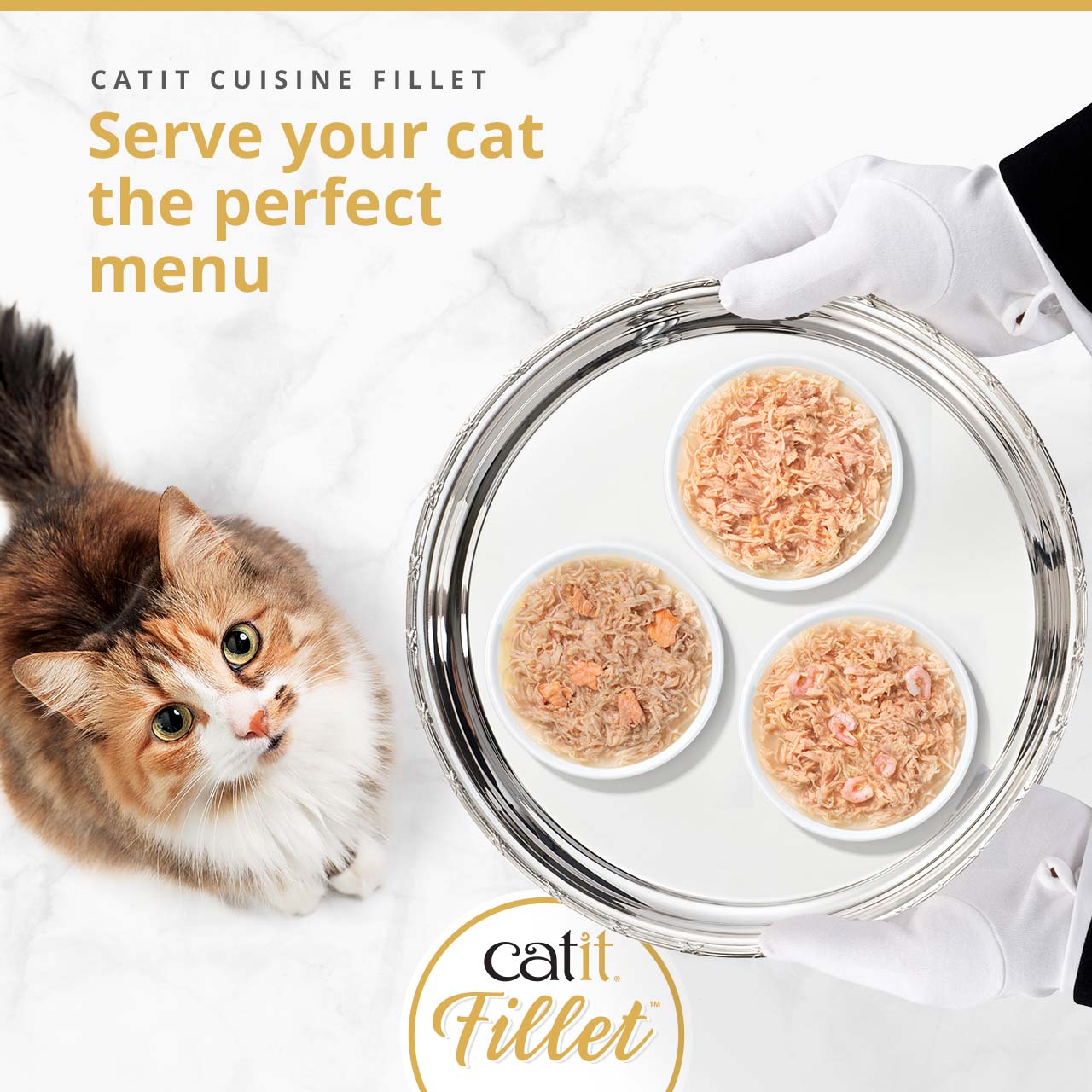 A cat looking up at a silver tray held by gloved hands, featuring three bowls of Catit Cuisine Fillet cat food