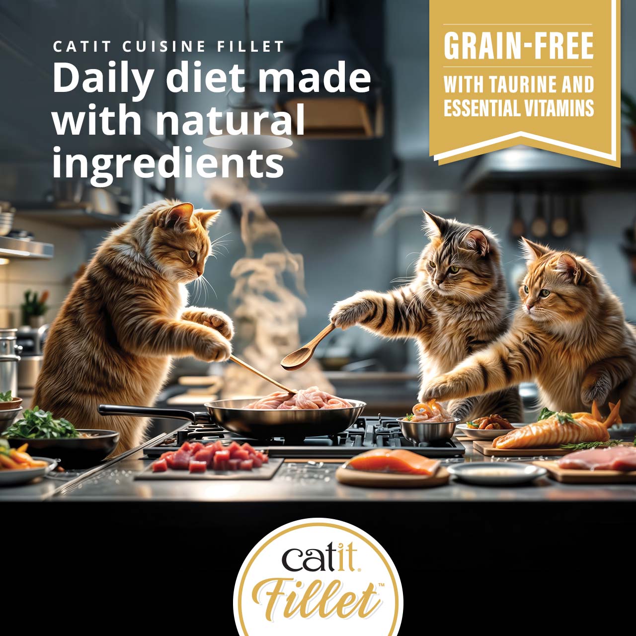 Promotional graphic for Catit Cuisine Fillet cat food, highlighting a grain-free daily diet with natural ingredients