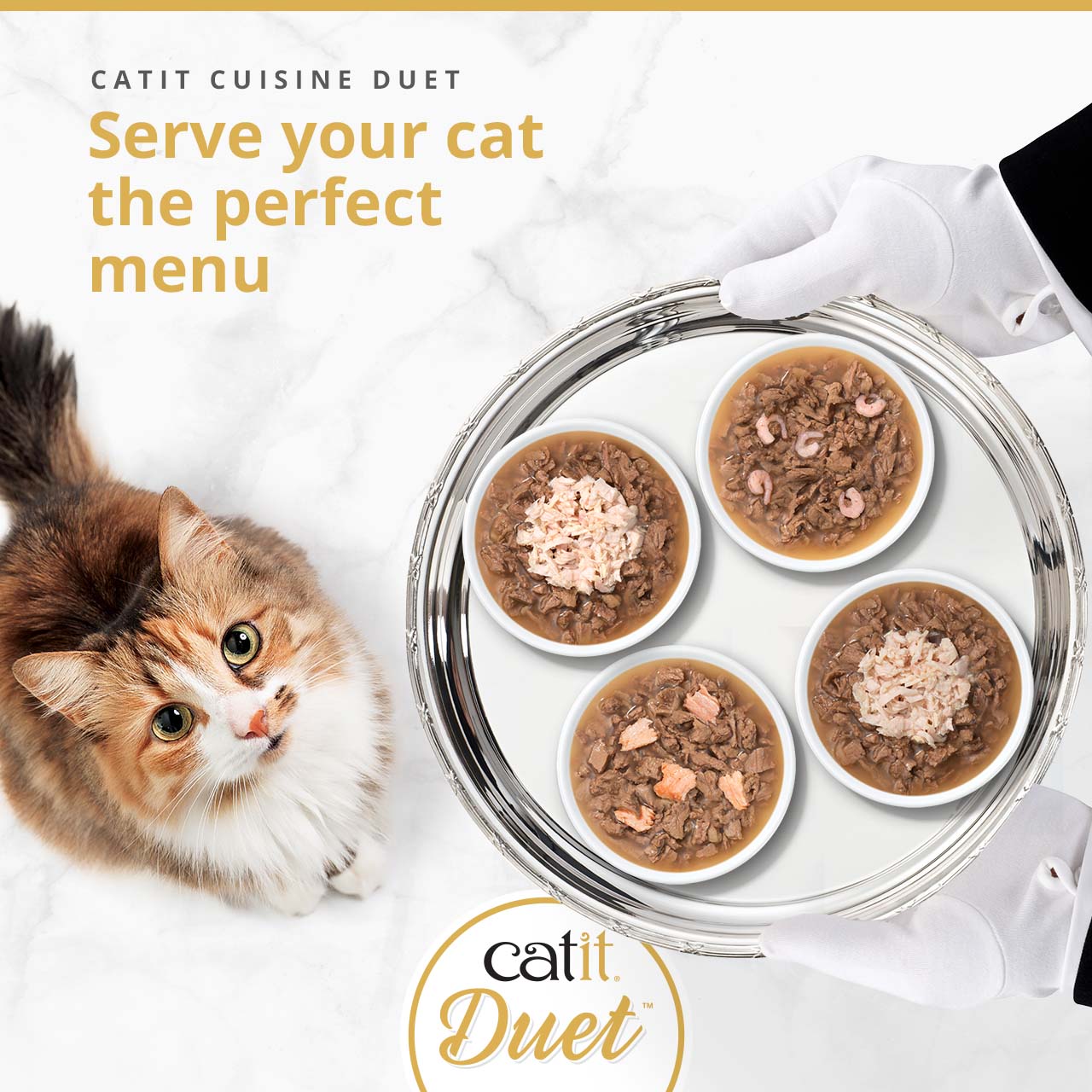 A cat looks up at a silver tray held by gloved hands, featuring four bowls of Catit Cuisine Duet wet cat food