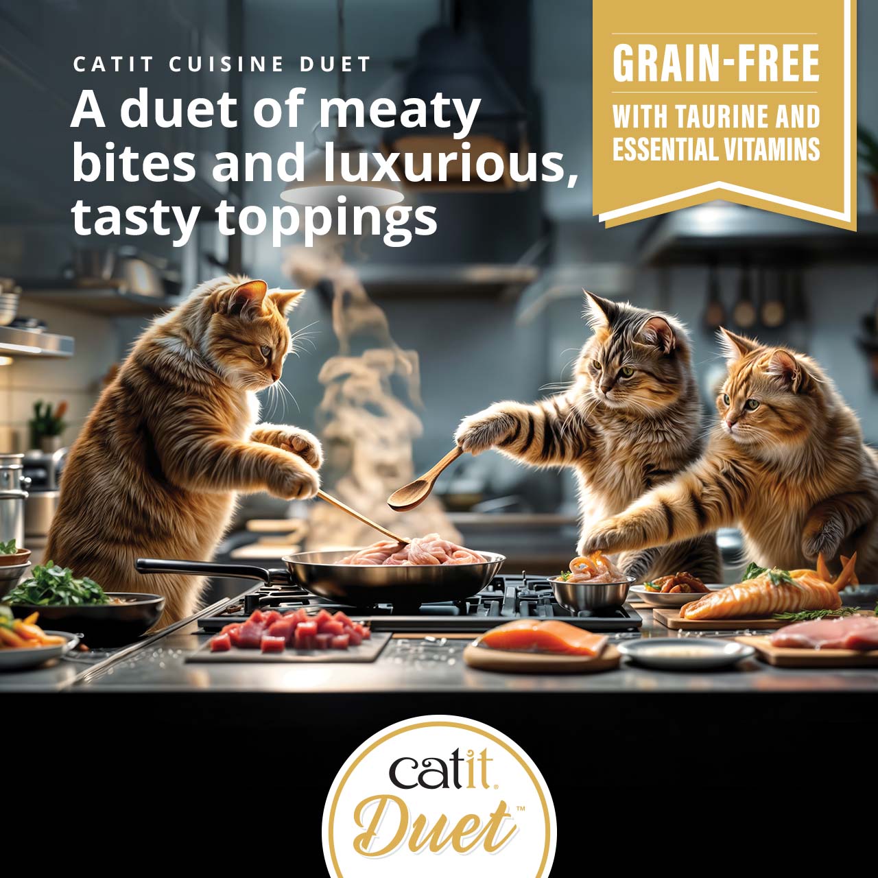Promotional graphic for Catit Cuisine Duet cat food, featuring three cats cooking with meat and fish in a kitchen