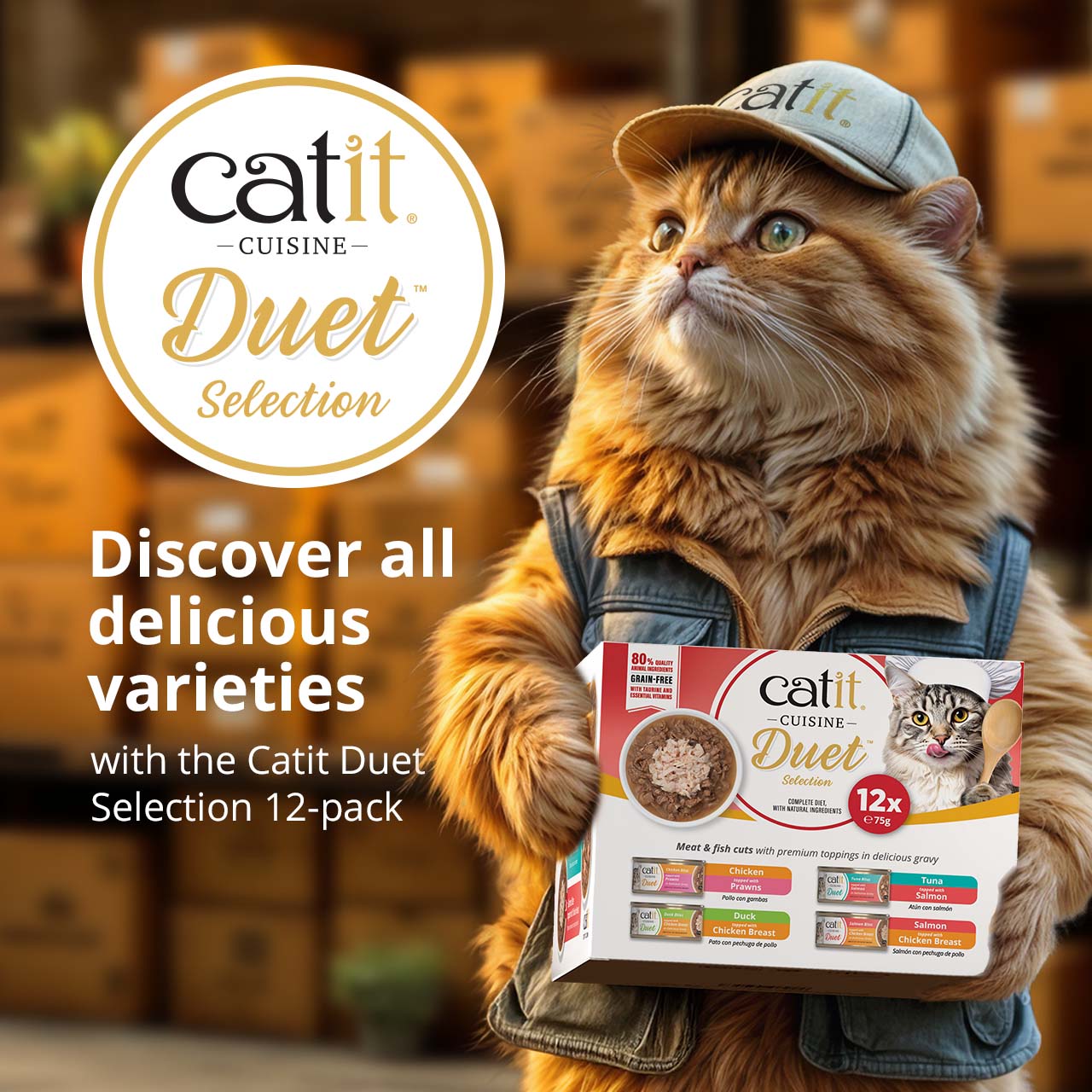 A fluffy orange cat wearing a cap and vest holds a 12-pack of Catit Cuisine Duet cat food, promoting the variety pack