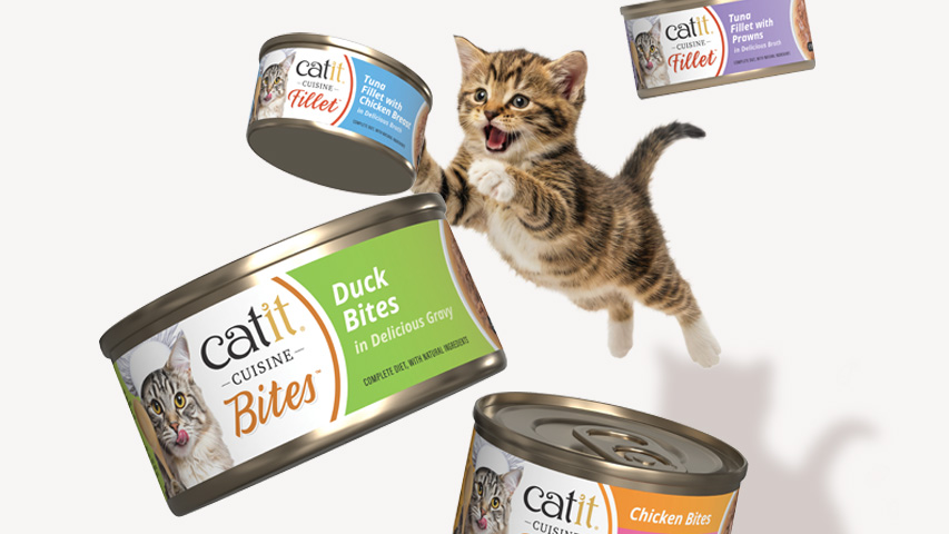 A kitten jumping toward floating cans of Catit Cuisine cat food and treats