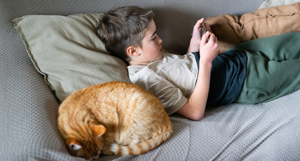 A young boy lying on a couch playing on a smartphone next to a sleeping ginger cat
