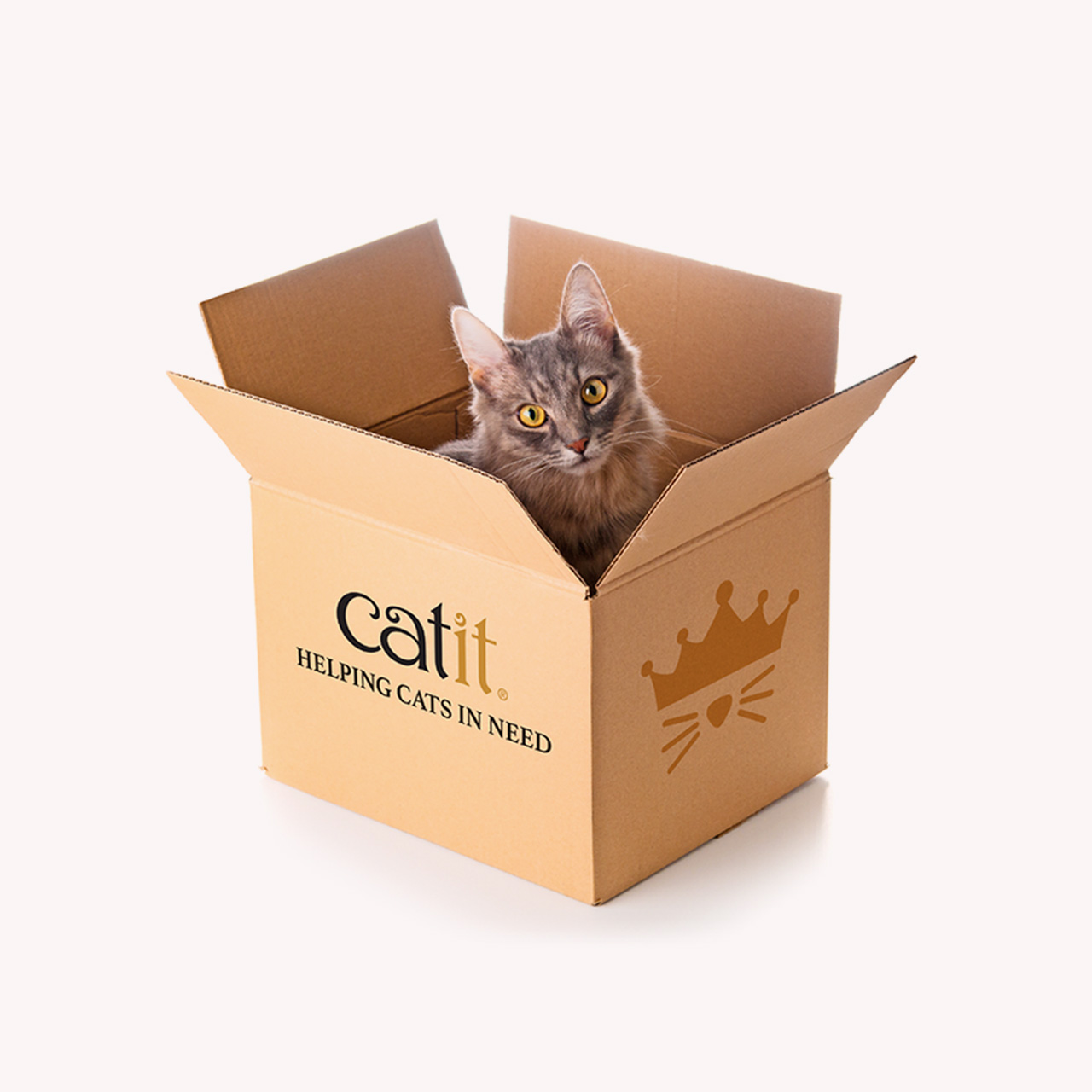 A grey cat sitting inside a cardboard shipping carton labeled Catit Helping Cats in Need
