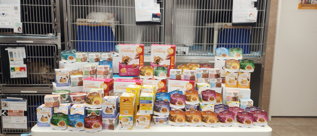 A large collection of Catit cat food packaging and treats arranged on a table in front of cat cages