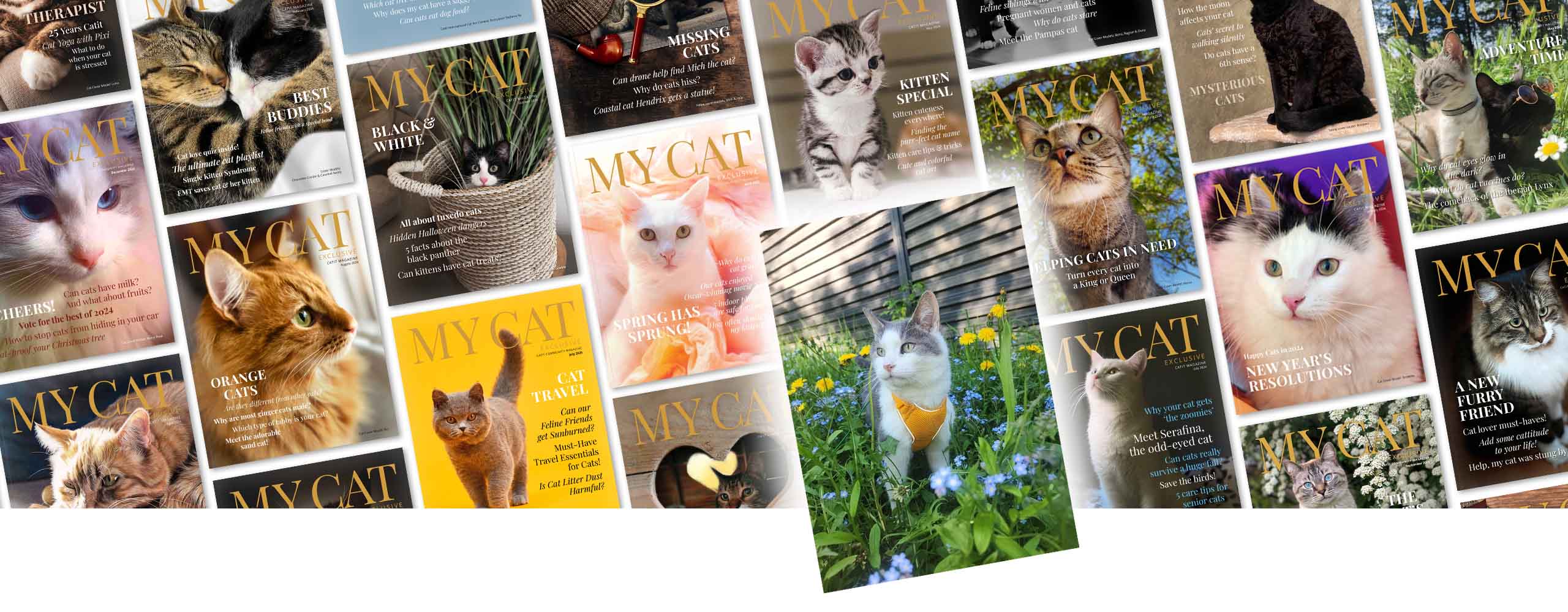 A collection of various My Cat magazine covers featuring different cat breeds and themes related to cat care and lifestyle