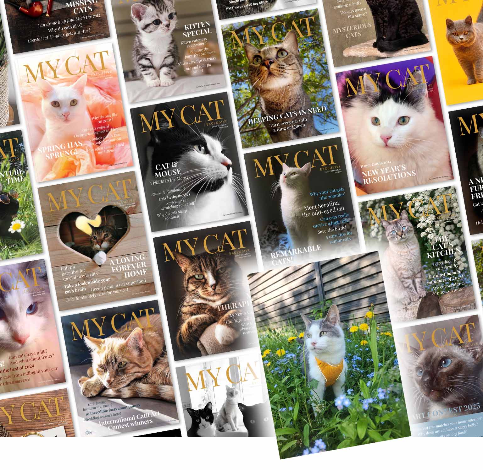 A collage of various My Cat magazine covers featuring different cats and topics related to cat care and lifestyle