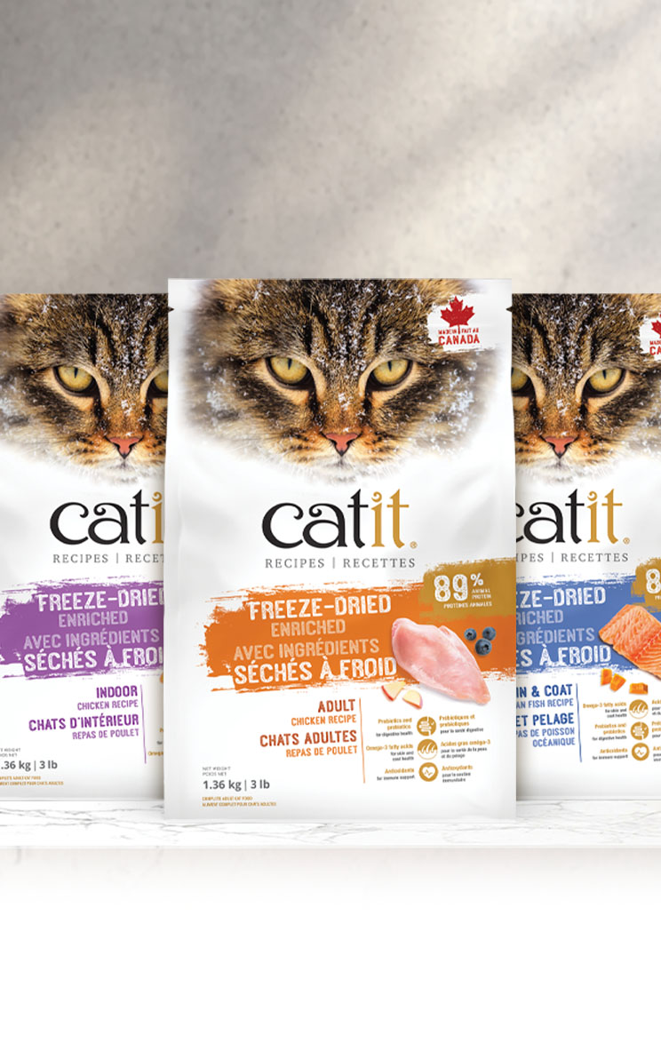 Three bags of Catit freeze-dried cat food in different recipes: Indoor Chicken, Adult Chicken, and Skin & Coat Fish