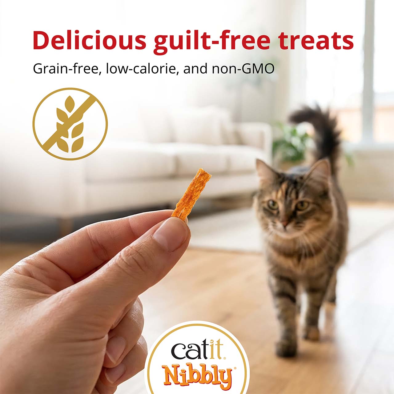 A hand holds a Catit Nibbly treat for a cat walking toward the camera, highlighting that the treats are grain-free and low-calorie