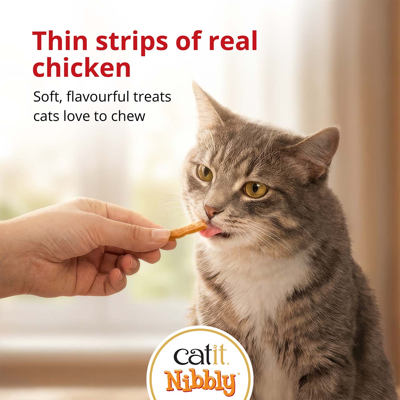 A person feeding a Catit Nibbly chicken treat to a tabby cat