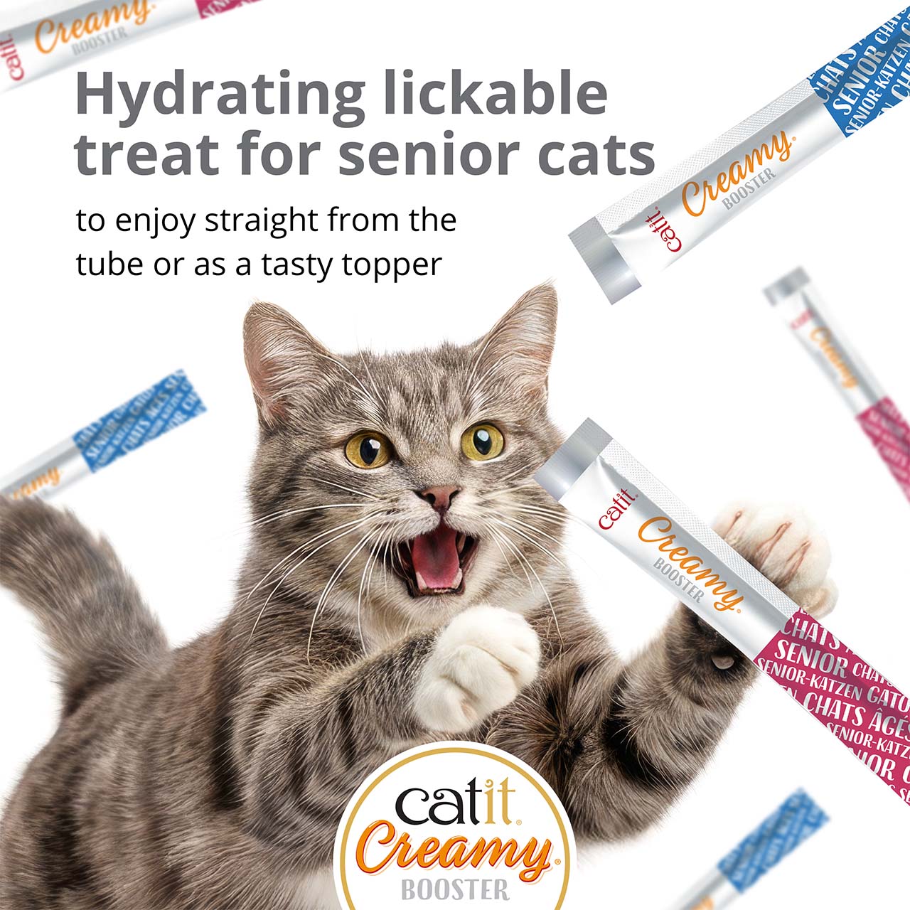 Catit Creamy Booster hydrating lickable treat for senior cats, shown with a cat and product packaging
