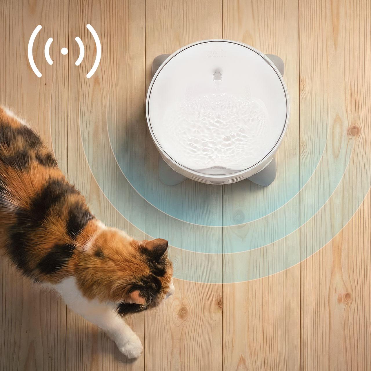 A calico cat approaches a PIXI smart water fountain on a wooden floor, with a sensor range graphic indicating motion detection