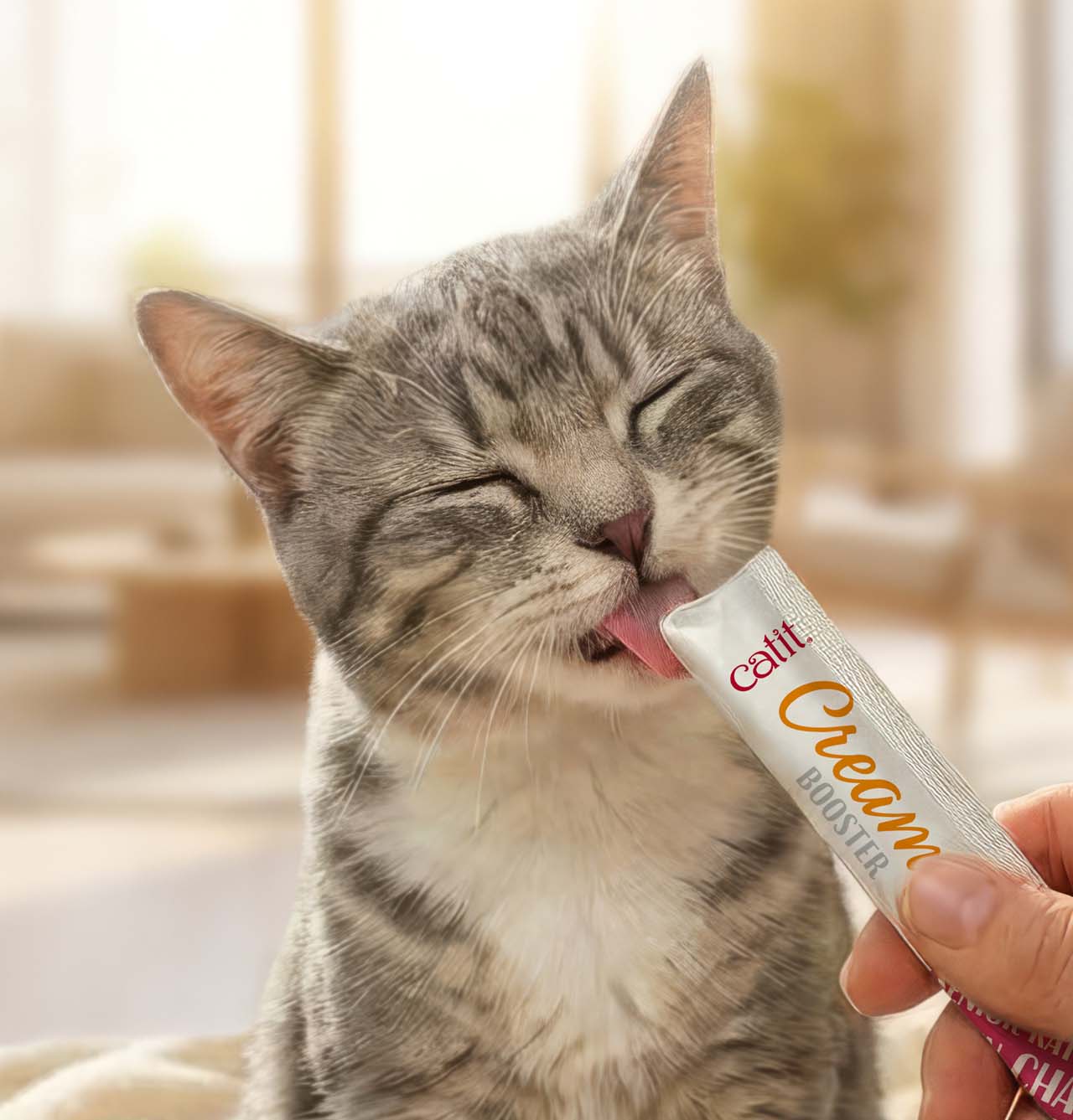 A grey tabby cat with eyes closed happily licking a Catit Cream Booster treat from a tube held by a person