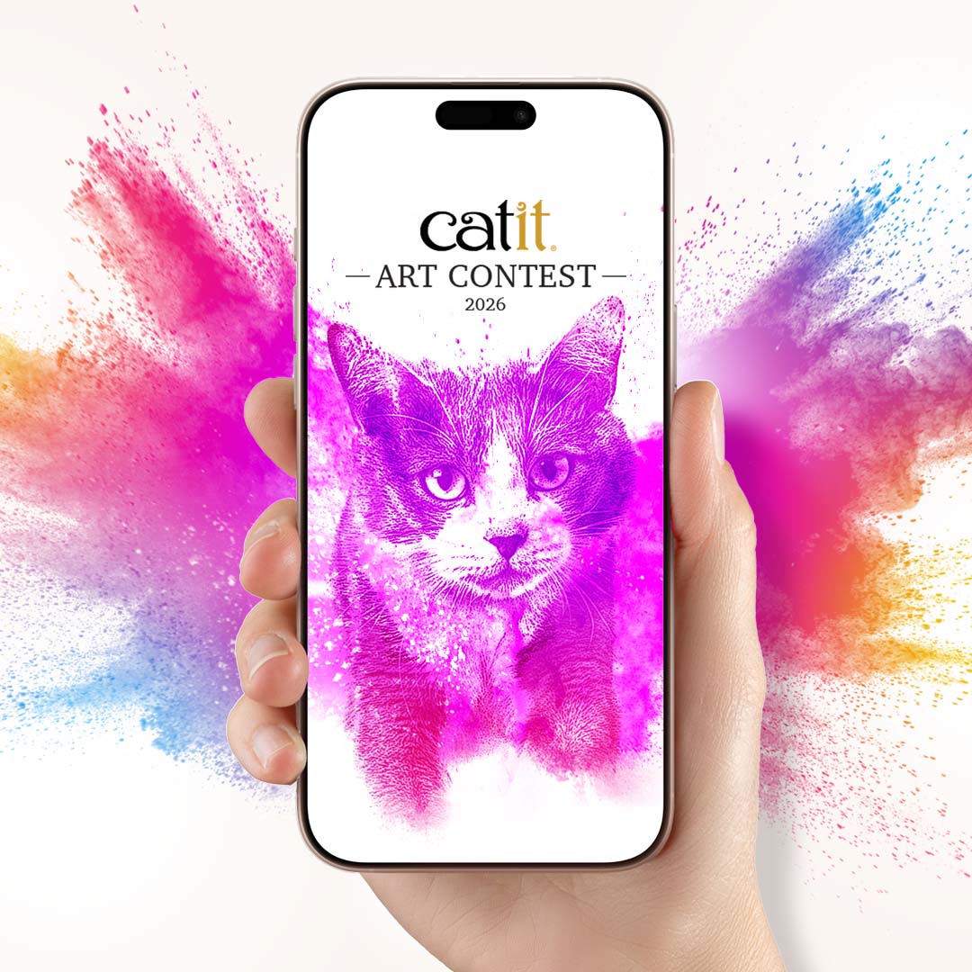 A hand holding a smartphone displaying a Catit Art Contest 2026 promotional graphic featuring a stylized cat portrait