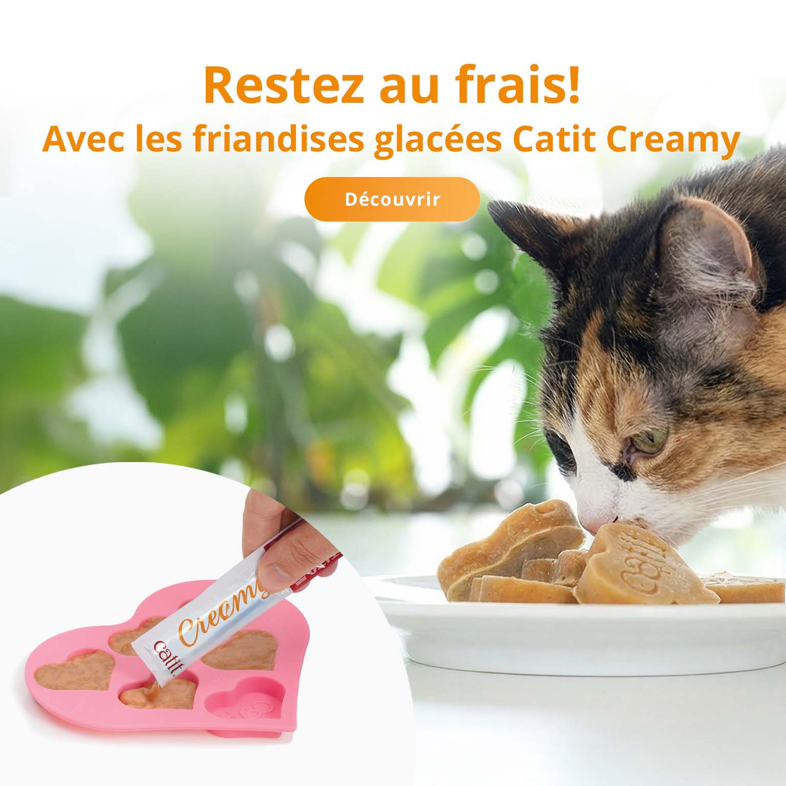 Un chat calicot en train de manger des gâteries glacées en forme de cœur dans une assiette, avec un encart montrant une main en train de presser une gâterie Catit Creamy dans un moule en silicone en forme de cœur