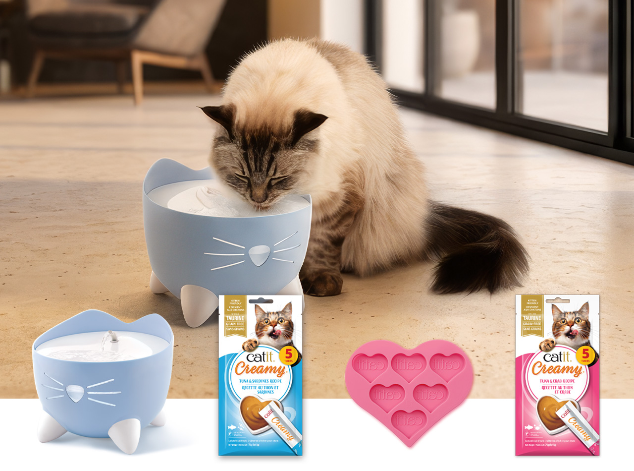 A cat drinking from a blue cat-shaped water fountain, with Catit Creamy treat packaging and a heart-shaped treat mold nearby