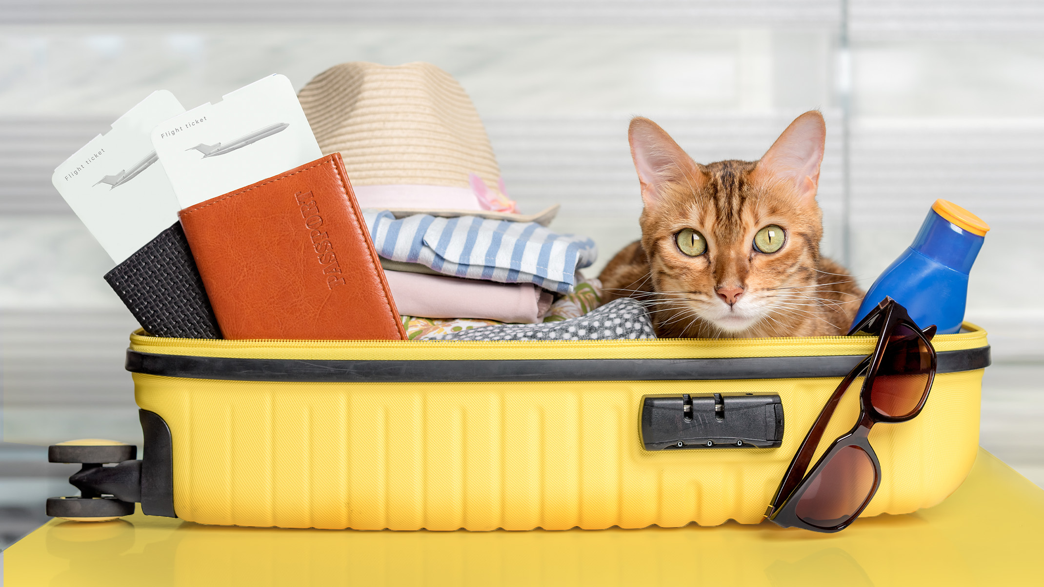 A Bengal cat sitting inside an open yellow suitcase packed with travel essentials like a passport, tickets, and sunglasses