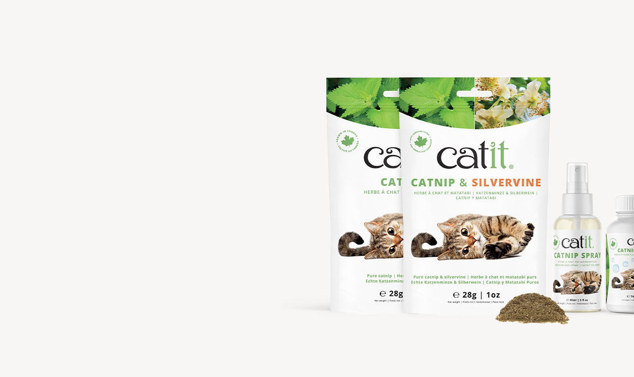 Catit catnip and silvervine dried herb packaging and catnip spray bottles