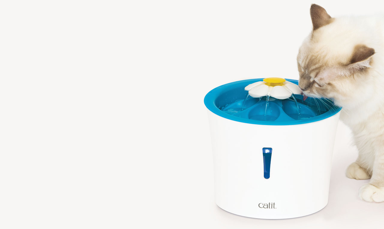 A cat drinking from a Catit LED flower water fountain