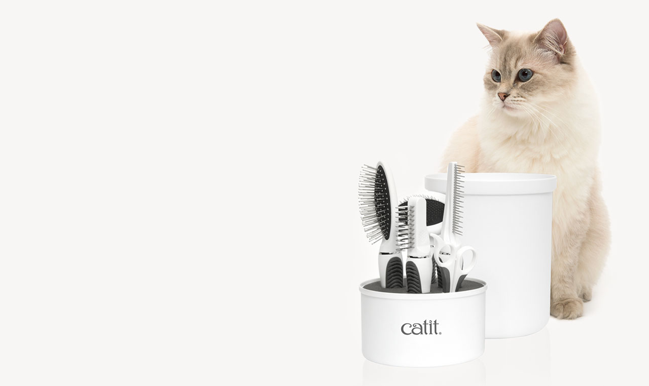 A long-haired cat sits next to a Catit grooming kit containing brushes, a comb, and scissors in a white storage container
