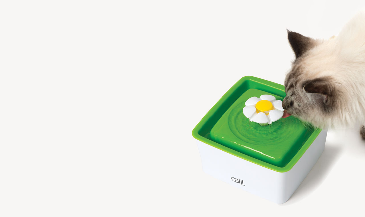 A cat drinking from a Catit flower-shaped water fountain