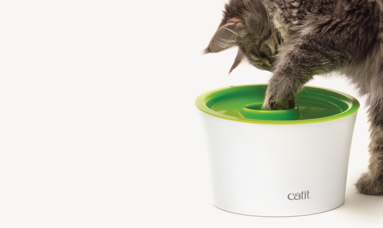 A fluffy cat reaching its paw into a white and green Catit water fountain