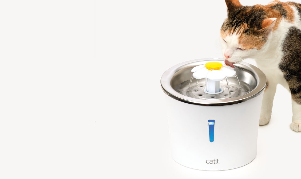 A calico cat drinking from a white Catit flower water fountain with a stainless steel top