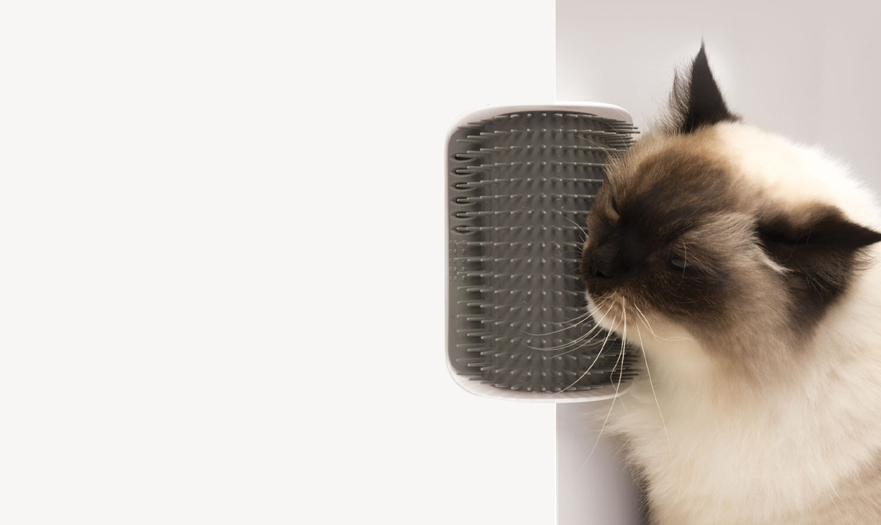 A long-haired cat rubbing its face against a wall-mounted Catit self-groomer brush