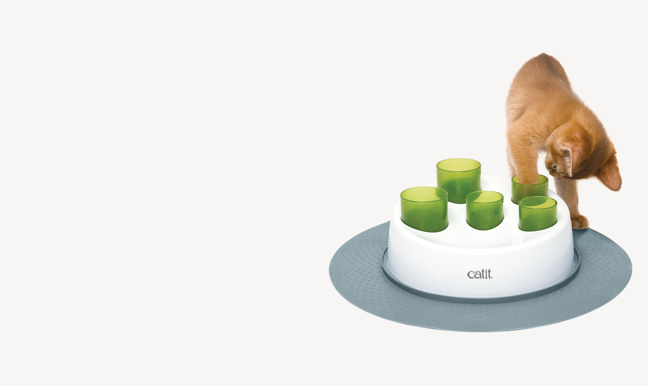 A ginger kitten using a Catit Senses Digger interactive cat toy on a grey mat