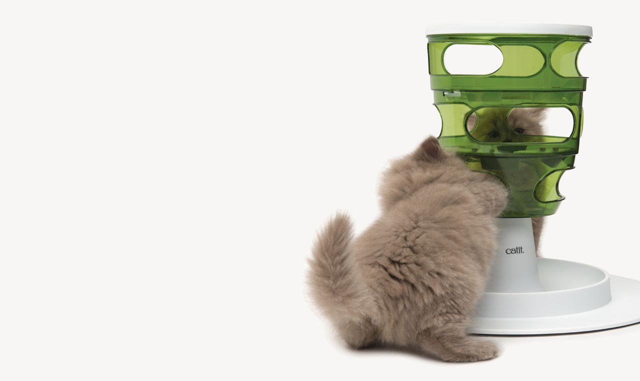 A fluffy kitten playing with a green Catit food tree toy