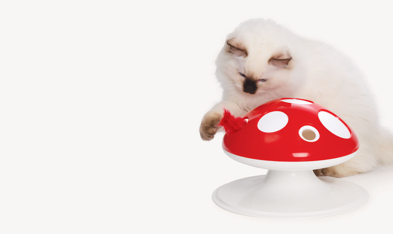 A fluffy white cat playing with a red mushroom-shaped cat toy with a feather attachment