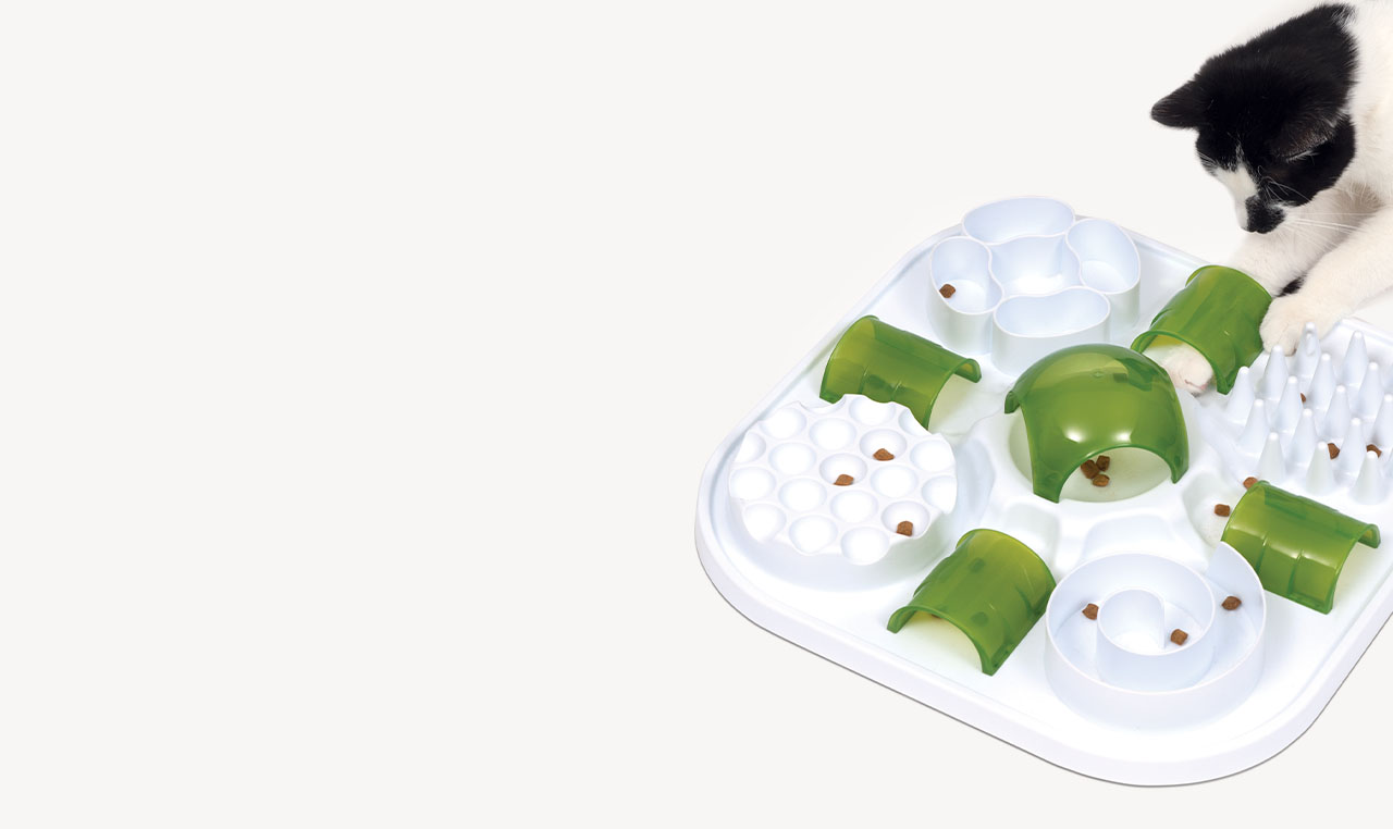 A black and white cat using a Catit Senses treat puzzle toy on a white background