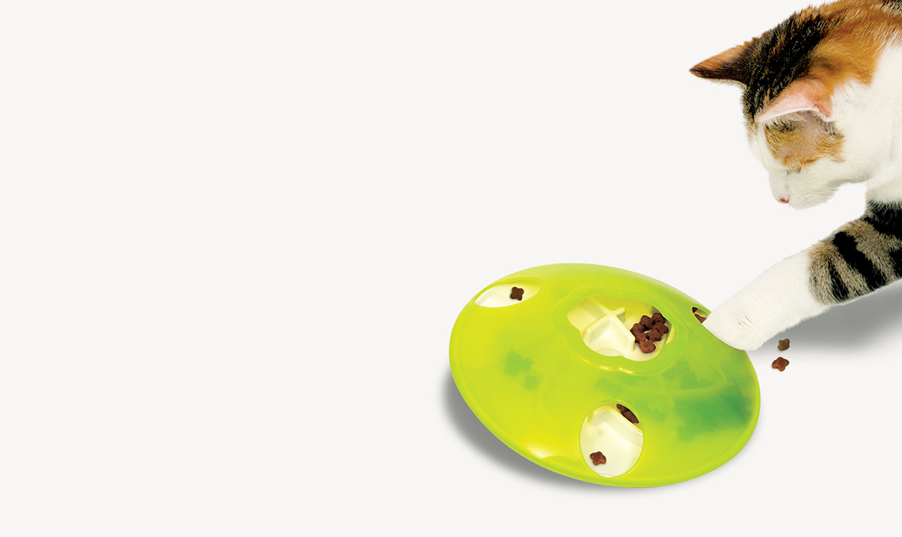 A calico cat uses its paw to retrieve dry food treats from a green Catit Senses treat spinner toy