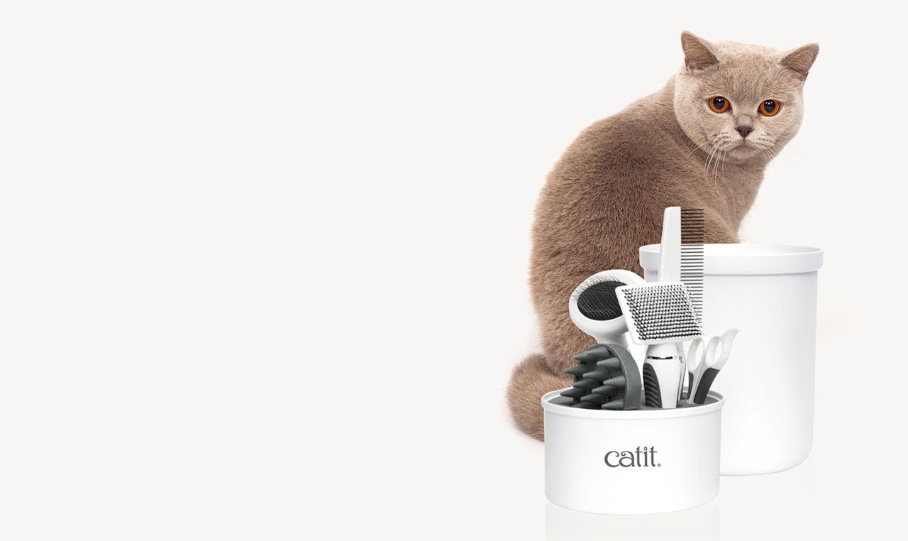 A cat sitting behind a Catit grooming kit containing various brushes, a comb, and scissors