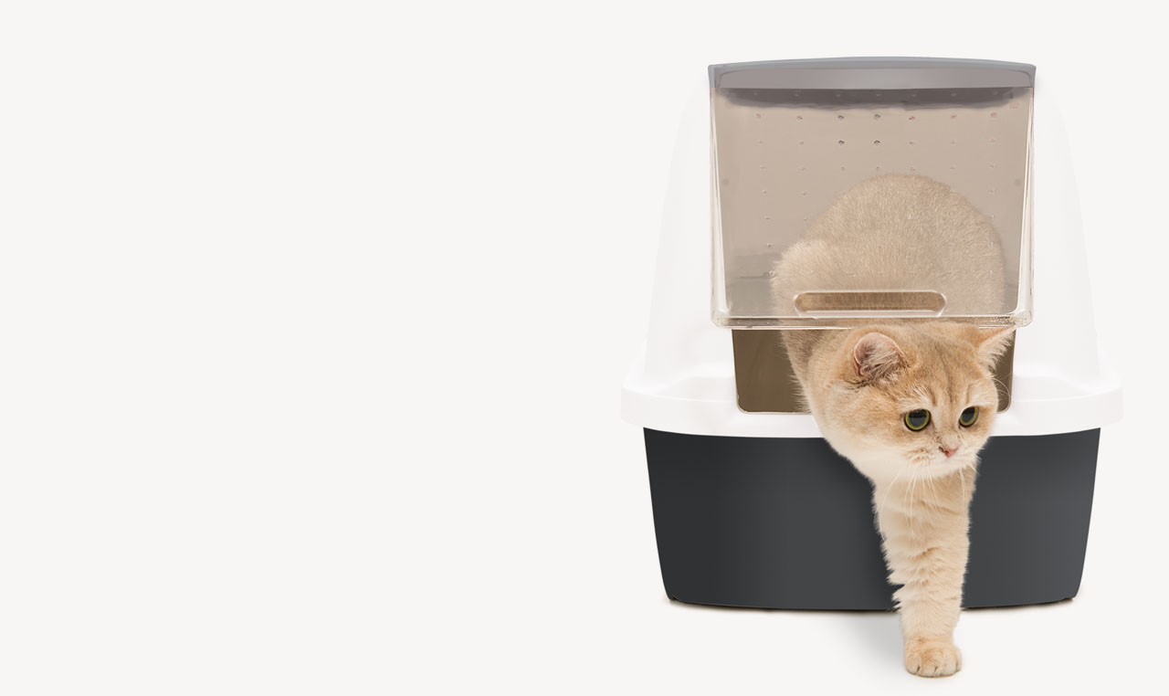 A light brown cat stepping out of a modern, covered cat litter box with a translucent door