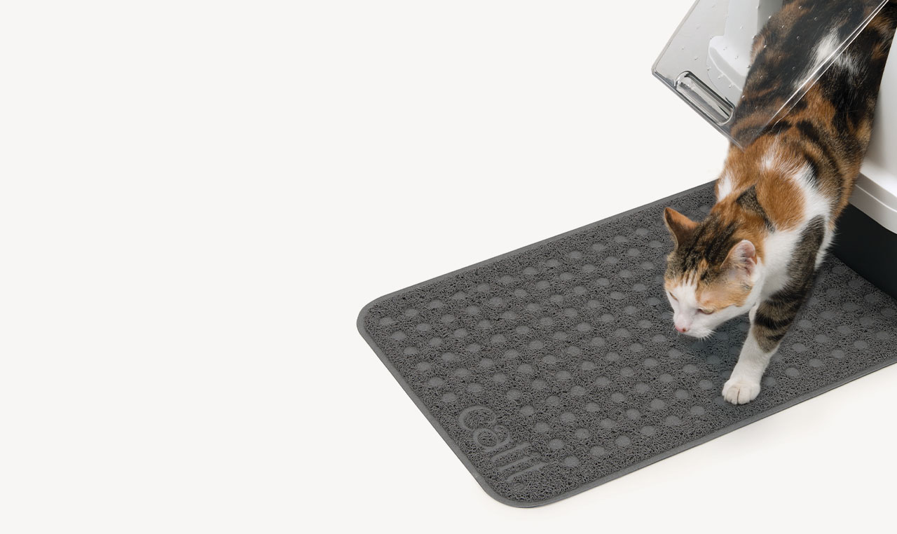 A calico cat steps out of a litter box onto a grey Catit litter mat