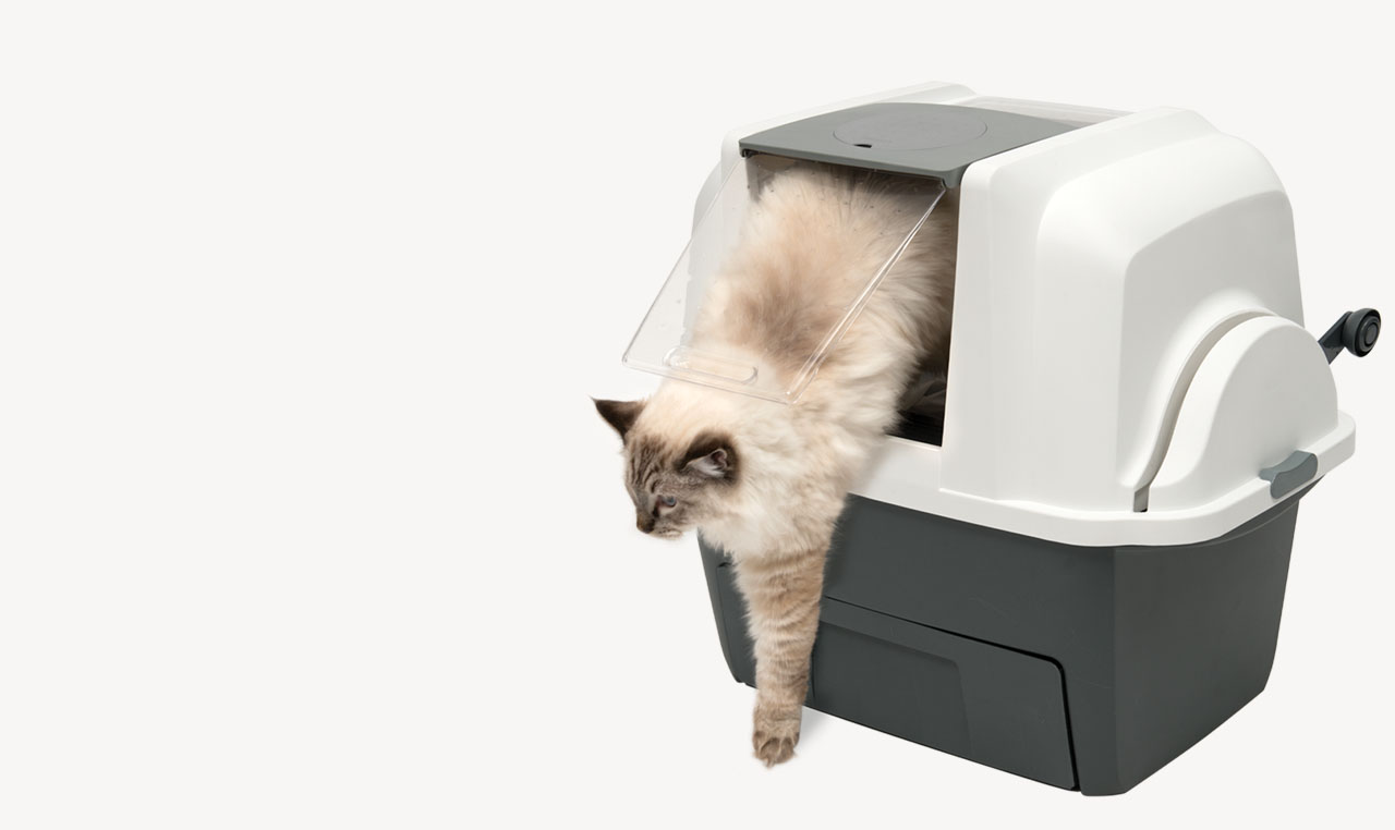 A fluffy cat exiting a white and grey Catit SmartSift litter box
